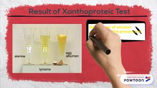 Xanthoproteic Test [upl. by Arimlede]