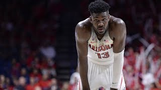 DeAndre Ayton 20172018 Season Highlights ᴴᴰ  Arizona Wildcats  201 PPG 116 RPG 19 BPG [upl. by Todhunter]