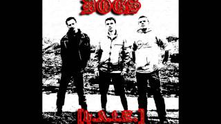 DOGS  I Wanna Be Your Dog The Stooges Cover [upl. by Jarlathus]