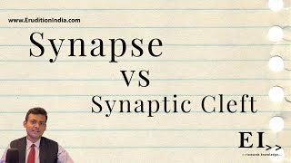 Synapse vs Synaptic Cleft [upl. by Magnien]