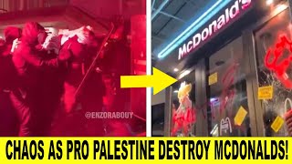 CHAOS As Pro Palestine Demonstration DESTROYS McDonalds amp Causes HAVOC In Paris [upl. by Ajiat]