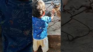 My little munchkin feed carrots to deer tamil song [upl. by Pestana]