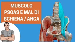 Muscolo ileo psoas importante per migliorare dolori di anca e schiena [upl. by Hedy]