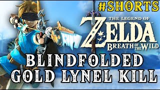 Zelda Breath of the Wild  Blindfolded Golden Lynel Kill [upl. by Panthea]