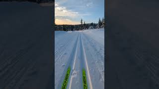 XC skiing in Norway  Sjusjoen [upl. by Pretrice25]