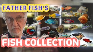 Father Fishs Fishy Friends Gouramis Puffers Gobies Discus Tetras Uarus amp More [upl. by Feirahs55]