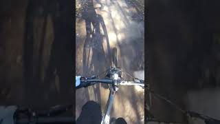 Took a fun ride with lilah Trying to build up her endurance dogs mountainbiking ride riding [upl. by Ave]