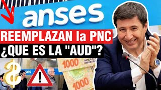 👉Urgente Jubilados❗ Reemplazarían la PNC por Asignación Universal por Discapacidad💥ANSES en Alerta❗💲 [upl. by Treiber302]