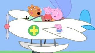 Świnka Peppa ✈️ Latający Weterynarz ✈️ Bajki Po Polsku  Peppa po Polsku [upl. by Saile]