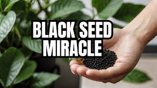 5 Evidencebased BENEFITS of Black Seed [upl. by Cost]