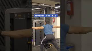 Reverse Dec Fly for rear Delt pullday delts gym bodybuilding asthetic motivation asthetic [upl. by Dickman]