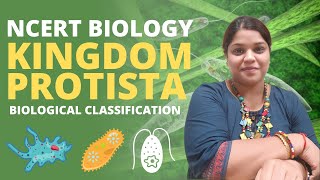 Kingdom Protista  Class 11  Biology NCERT [upl. by Greyson]