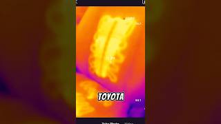 Thermal Imaging Camera For Your Smartphone TOPDON Has Made It Too Easy To Use [upl. by Lisabeth]