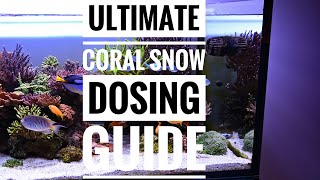 Ultimate Coral Snow Dosing Guide [upl. by Priestley]