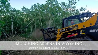 Mulching Aspens in Wyoming for Archery Range [upl. by Sisi]