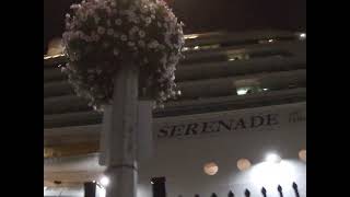 Serenade of the Seas Up Close At Night Thursday August 29th 2024 [upl. by Iraj]