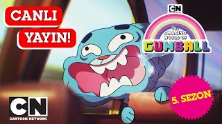 🔴CANLI 🔴 GUMBALL  5 Sezon Tüm Bölümler  Cartoon Network Türkiye [upl. by Darius]