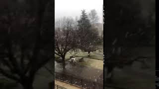 Ca neige à gros flocons à Avignon [upl. by Atnaloj181]