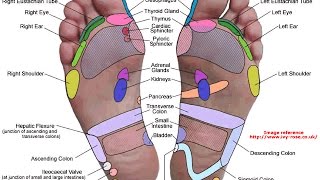 Reflexologia ¿Cuales son sus fundamentos [upl. by Alana]