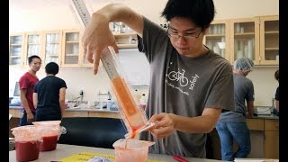 Tomato Sample Testing  UC Davis Pilot Plant Analytical Laboratory [upl. by Noerb]