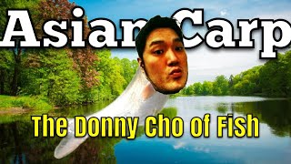 Asian Carp The Donny Cho of Fish [upl. by Bowyer]