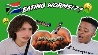 We Ate Mopane Worms [upl. by Adnat50]