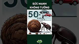 Bọ Hung Sức Mạnh Không Tưởng [upl. by Evelc142]