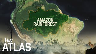 The destruction of the Amazon explained [upl. by Raynah]