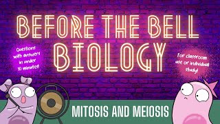 Mitosis and Meiosis Before the Bell Biology [upl. by Eidassac511]