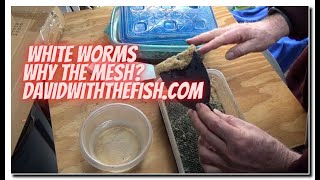 White Worm Culture  Why The Plastic Mesh [upl. by Kcered156]