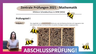 ZP 10 NRW Mathe 2021  Mittlerer Schulabschluss Realschule MSA  Teil 1 Aufgabe 1  Insektenhotel [upl. by Lantha]