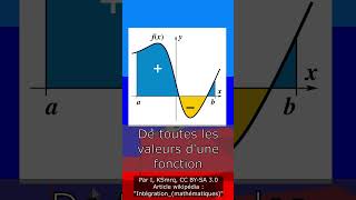 Quest Ce Quest LAnalyse Mathématique   science maths physique [upl. by Deehahs]