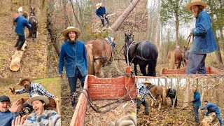 Logging With Titus Morris An Adventure in Traditional Horse Logging [upl. by Nyvar]