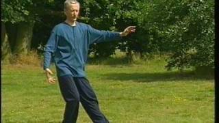 Tai Chi ChuanThe Complete Short Form [upl. by Sunda27]