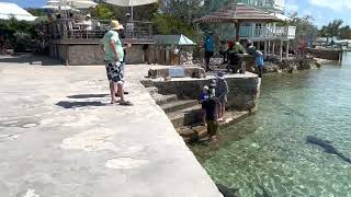 Staniel Cay Yacht Club [upl. by Matthias]