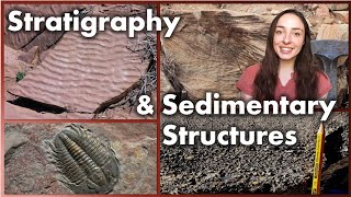 Stratigraphy and Sedimentary Structures  GEO GIRL [upl. by Issor]