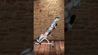 Best Erector Spinae Exercises » Workout Planner [upl. by Sutniuq]