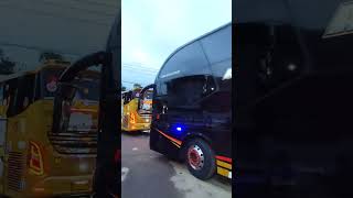 Monster Arrow agung sejati trending busmaniacomunityindonesia viralvideo busmania [upl. by Cown]