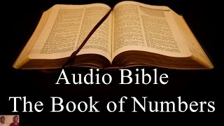 The Book of Numbers  NIV Audio Holy Bible  High Quality and Best Speed  Book 4 [upl. by Evoy868]