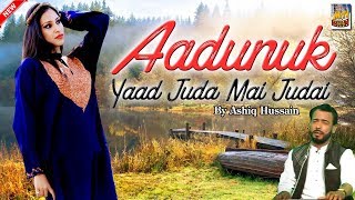 Aadunuk Yaad Juda Mai Judai By Ashiq Hussain [upl. by Akemyt]