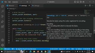 Send data from Python socket client to socket server [upl. by Barbara203]