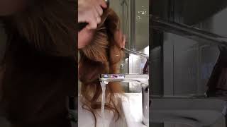 The main ingredience of video RED Hair ASMR Shampooing [upl. by Ylreveb]