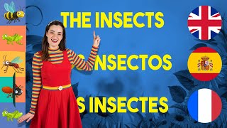 GUESS The Insects 🐞 with Daisy Dot Luli Pampín and Marie Toupie 🇬🇧🇪🇸🇫🇷 [upl. by Astto]