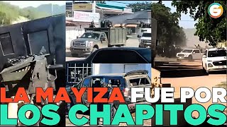 La Mayiza fue por Los Chapitos Culiacán Sinaloa [upl. by Yruj]