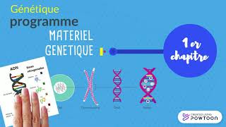 GENETIQUE  Programme L2 GENETIQUE SNV BIOLOGIE GENETIQUE [upl. by Pier]