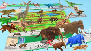 Which Animal vs Dinosaurs Speed Race Run Zigzag Maze Course from Outside Animal Revolt Battle Simul [upl. by Nenerb]