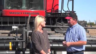 Massey Ferguson Across America9895Combining Soybeans in Illinois [upl. by Duval]