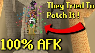 Jagex Tried To Patch AFK Agility But They Failed [upl. by Romina]