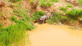 Proven Methods for Keeping Culverts Clear [upl. by Marijo626]