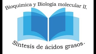 Síntesis de ácidos grasos Curso en línea de Bioquímica y Biología Molecular II [upl. by Jaehne]